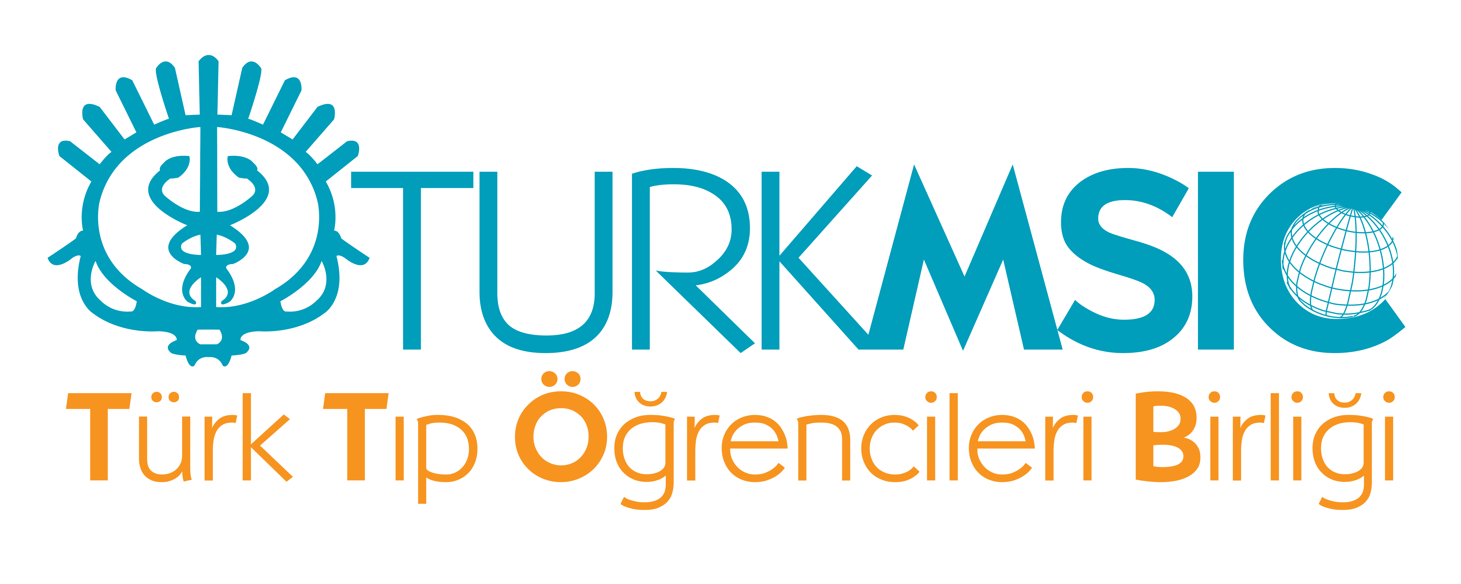 TurkMSIC Logo